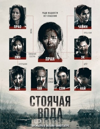 Стоячая вода